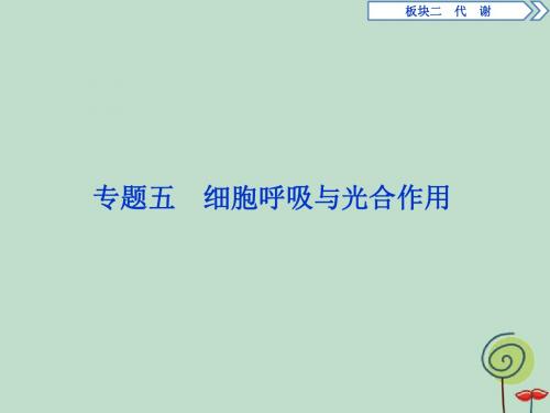 2019年高考生物二轮课件：专题五 细胞呼吸与光合作用