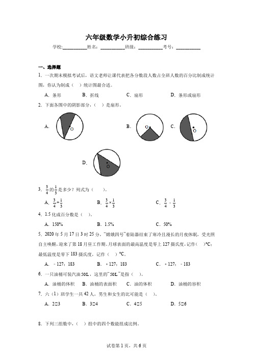 六年级小升初综合练习