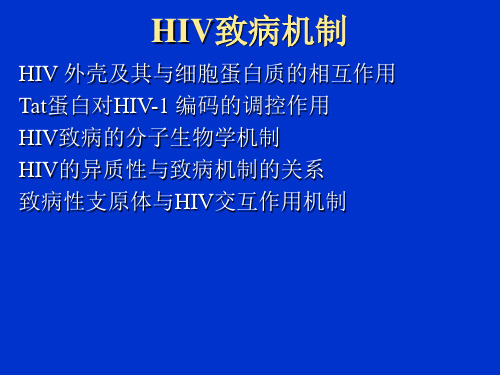 HIV致病机制