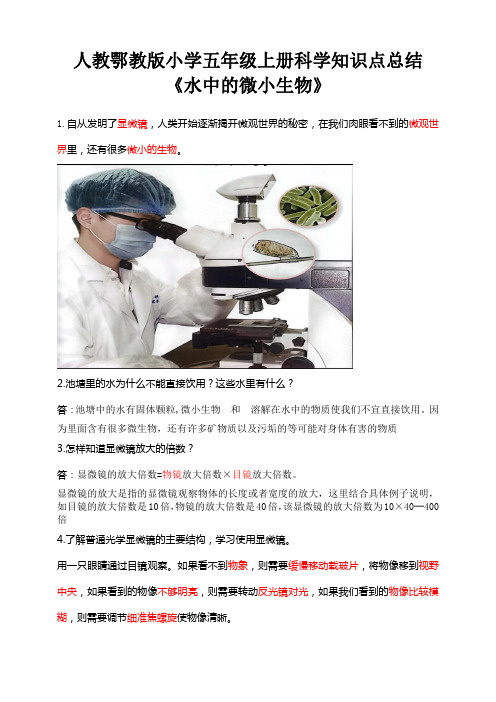 人教鄂教版小学五年级上册科学知识点总结《水中的微小生物》