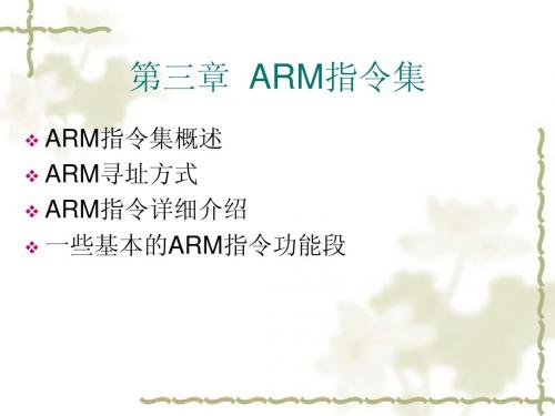 第三章 ARM指令集