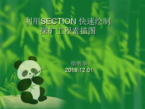 利用SECTION快速绘制探矿工程素描图-PPT精品