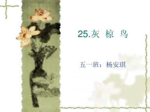 灰椋鸟