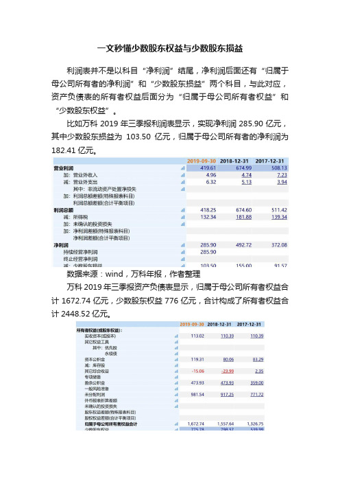 一文秒懂少数股东权益与少数股东损益