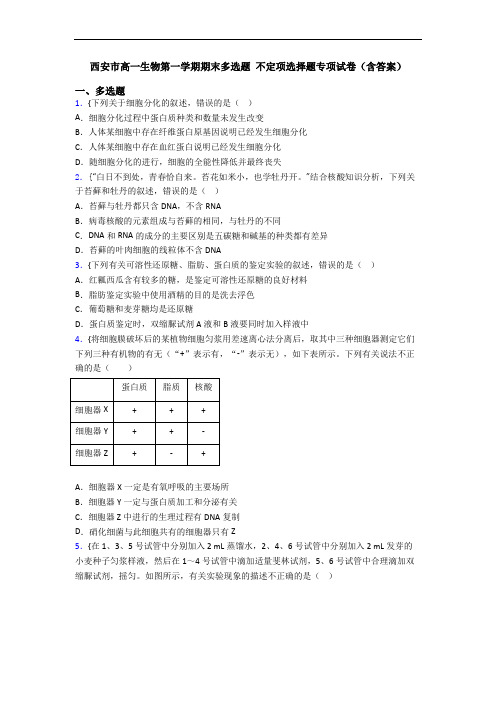 西安市高一生物第一学期期末多选题 不定项选择题专项试卷(含答案)