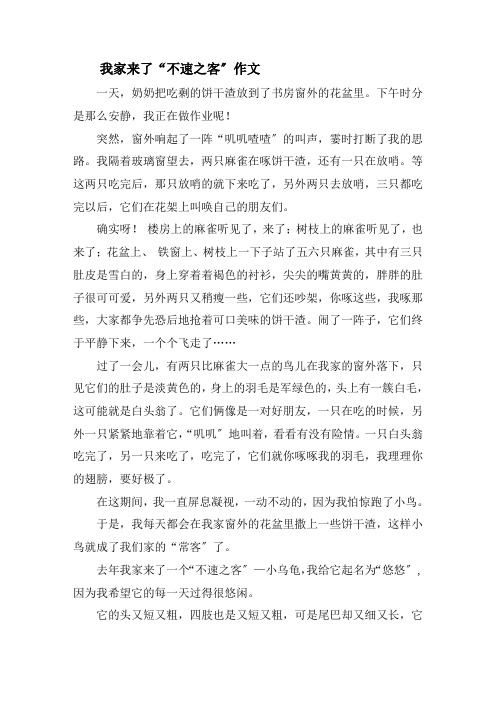 我家来了“不速之客”作文精选