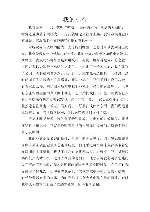 我的小狗萌萌