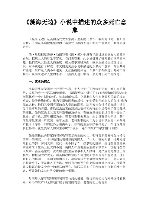 最新 《藻海无边》小说中描述的众多死亡意象-精品