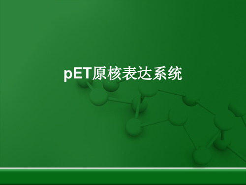 pET原核表达系统