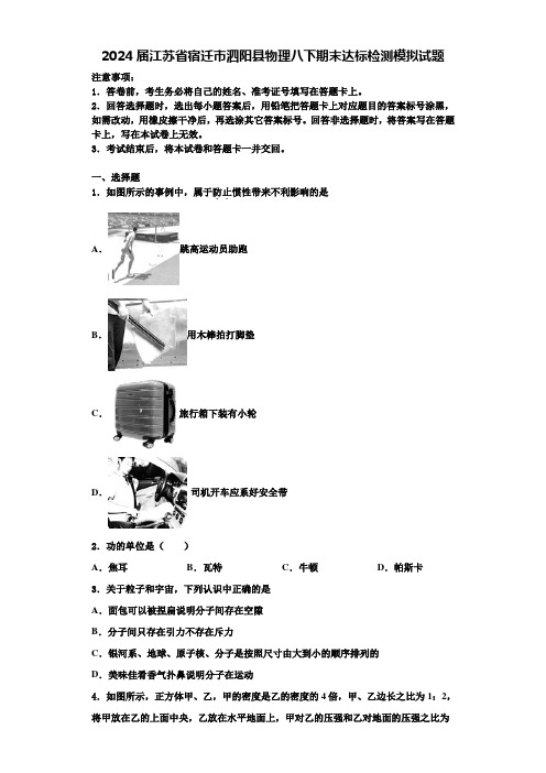 2024届江苏省宿迁市泗阳县物理八下期末达标检测模拟试题含解析