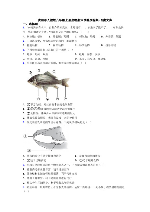 沈阳市人教版八年级上册生物期末试卷及答案-百度文库