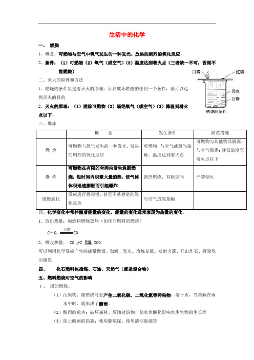 河北省沧州市中考化学第二轮知识点复习生活中的化学(无答案)