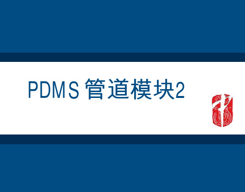 2-PDMS管道2