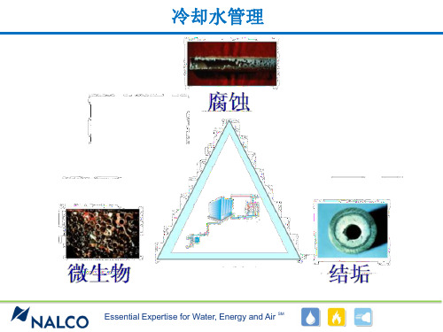 循环水的水质员工培训PPT