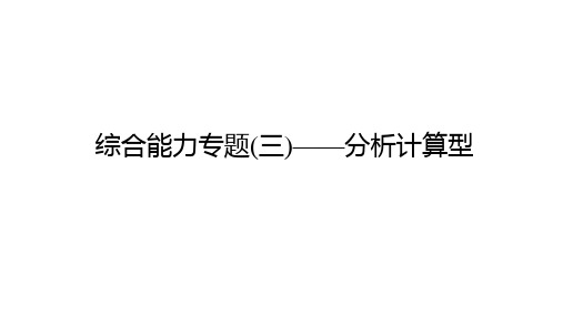 20  综合能力专题(三)——分析计算型