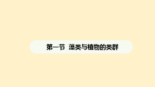 藻类与植物的类群课件 2024-2025学年人教版生物七年级上册