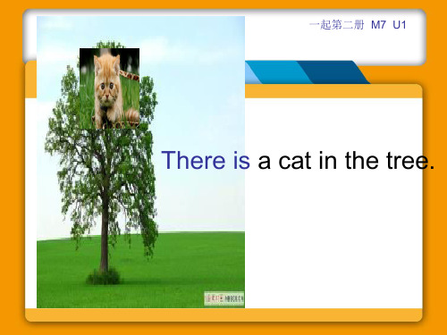 外研版(一起)一下:Module 7《Unit 1 There is a cat in the tr