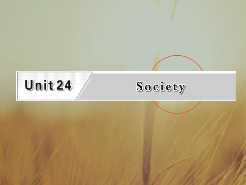 2017届高考英语一轮复习北师大版课件:选修八 Unit24Society 精品