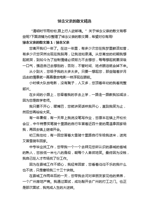 悼念父亲的散文精选