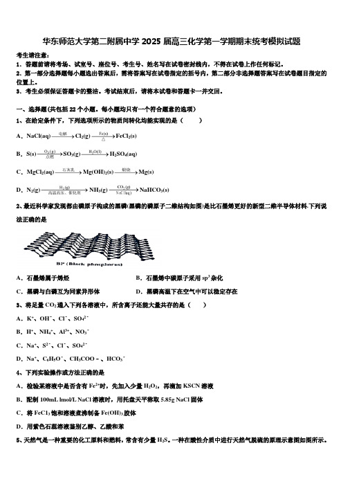 华东师范大学第二附属中学2025届高三化学第一学期期末统考模拟试题含解析