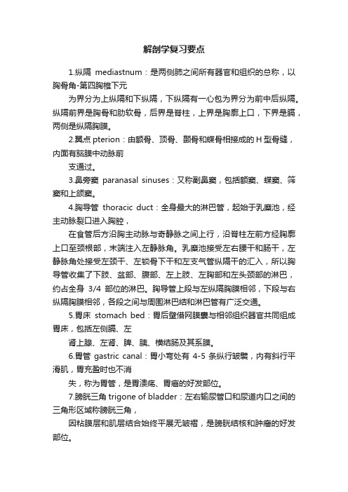 解剖学复习要点