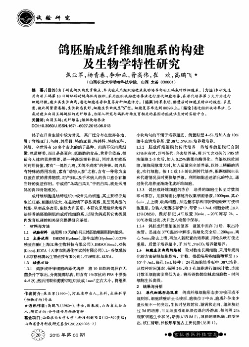 鸽胚胎成纤维细胞系的构建及生物学特性研究