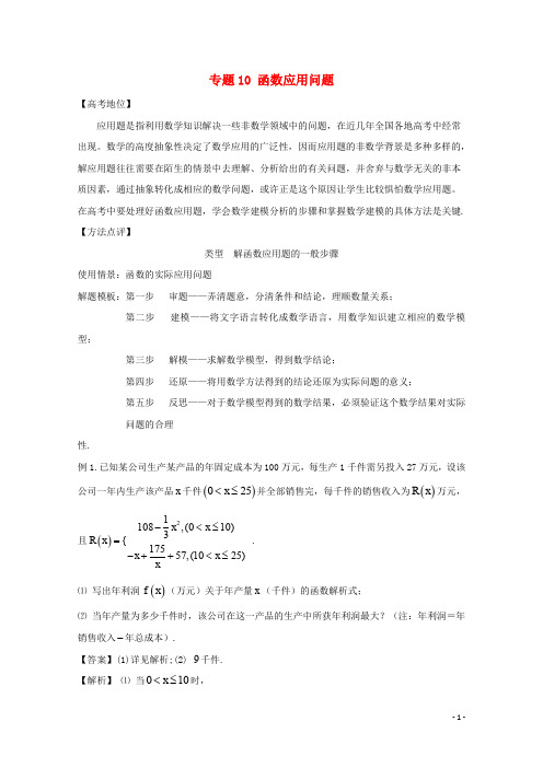 高考数学 专题10 函数应用问题黄金解题模板