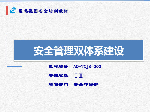 安全管理双体系建设(PPT50页)