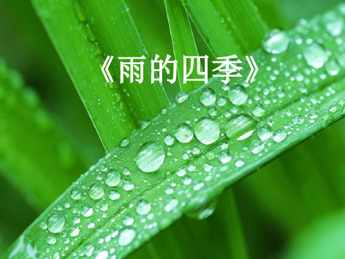 部编版七年级语文上册3雨的四季课件(共21张幻灯片)