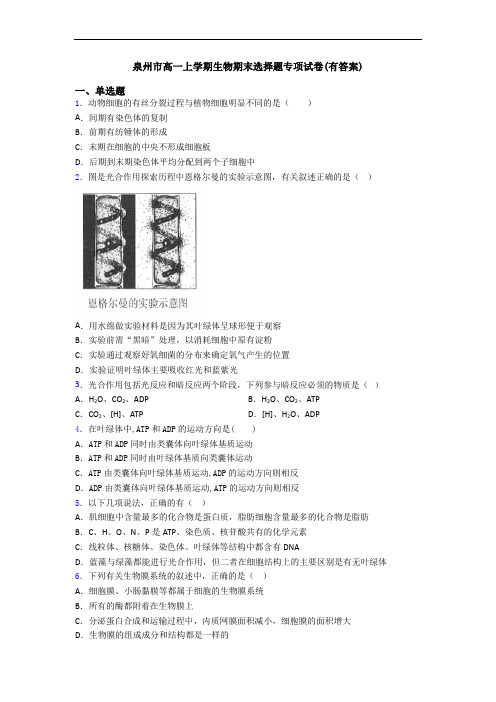 泉州市高一上学期生物期末选择题专项试卷(有答案)