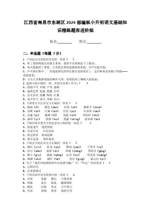 江西省南昌市东湖区2024部编版小升初语文基础知识精练题库进阶版