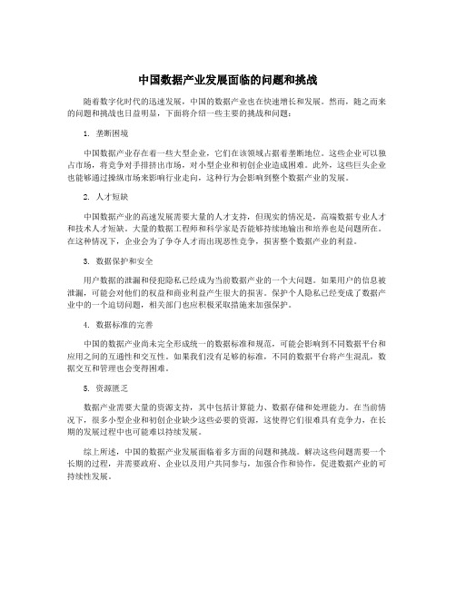 中国数据产业发展面临的问题和挑战