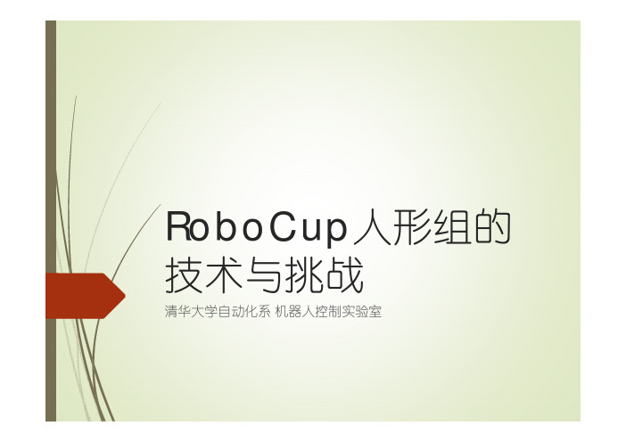 赵明国-RoboCup人形组的技术与挑战