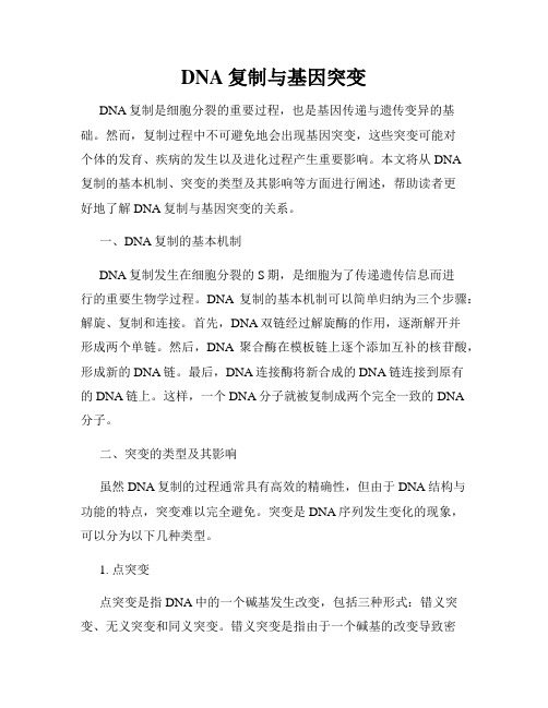 DNA复制与基因突变