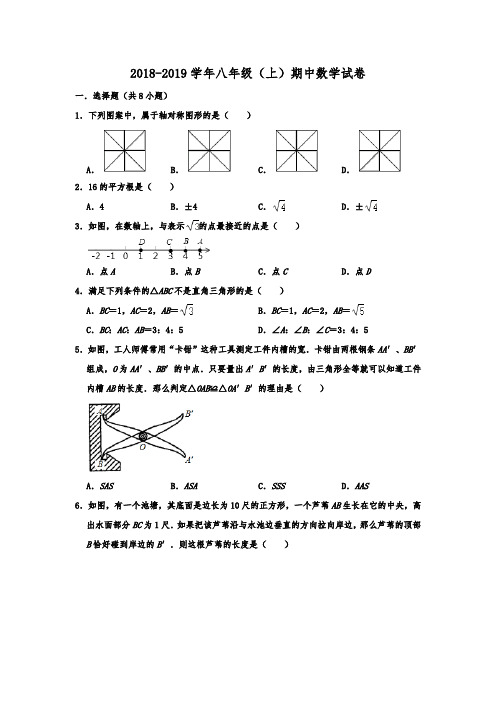 江苏省南京市联合体2018-2019学年八年级(上)期中数学试卷