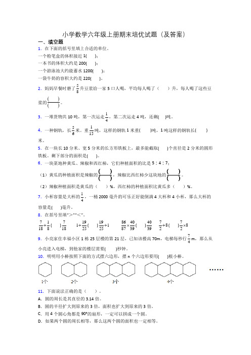 小学数学六年级上册期末培优试题(及答案)