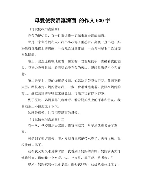 母爱使我泪流满面 的作文600字