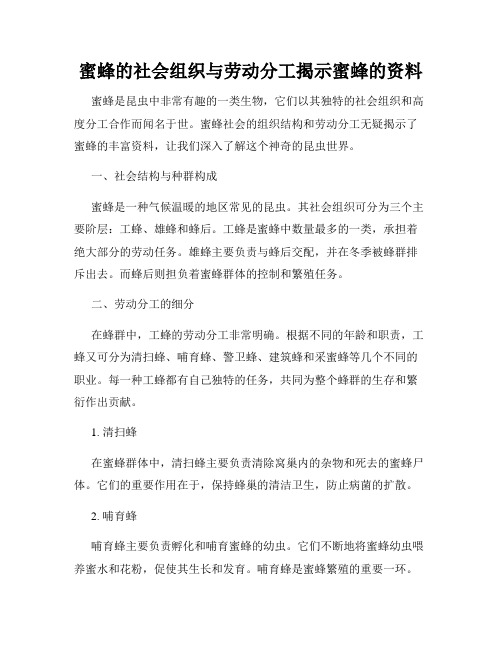 蜜蜂的社会组织与劳动分工揭示蜜蜂的资料