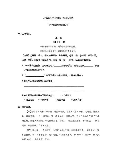 小学语文总复习专项训练(古诗文阅读4)