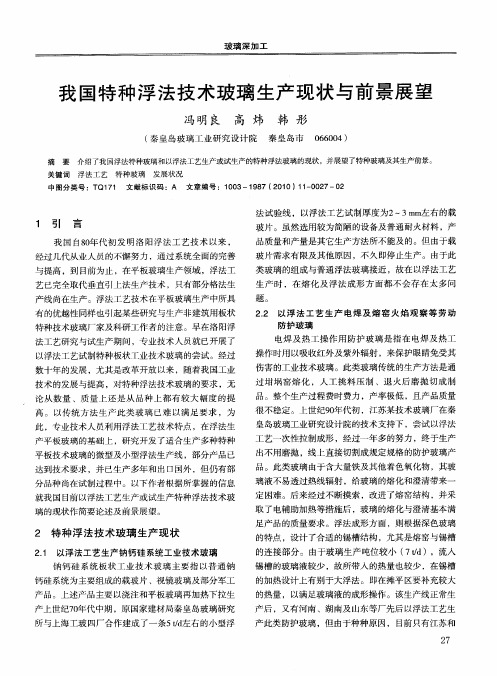 我国特种浮法技术玻璃生产现状与前景展望