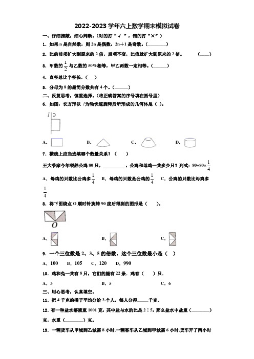 2023届福建省南平市邵武市六年级数学第一学期期末学业水平测试模拟试题含解析