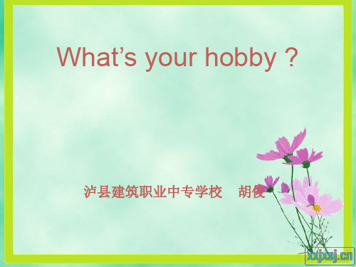 what's your hobby说课ppt