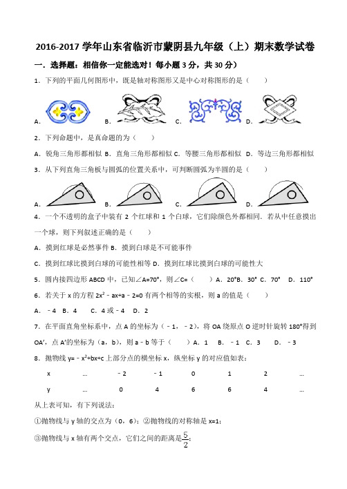 2016-2017学年山东省临沂市蒙阴县九年级(上)期末数学试卷