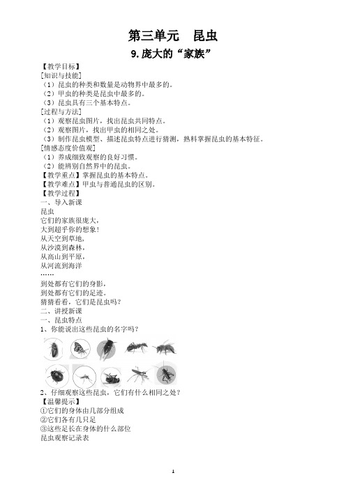 小学科学苏教版四年级下册第三单元《昆虫》教案5