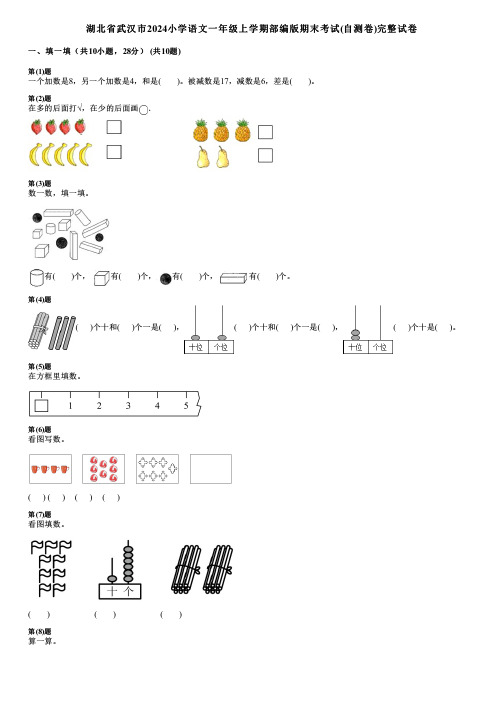 湖北省武汉市2024小学数学一年级上学期部编版期末考试(自测卷)完整试卷