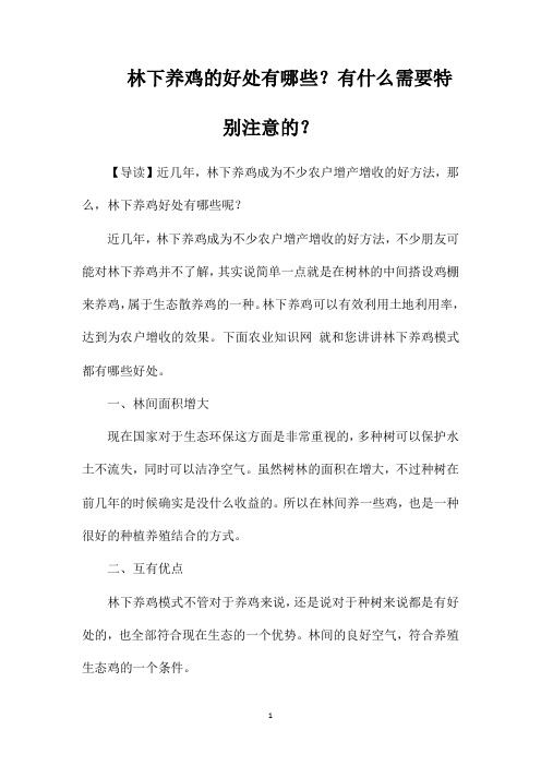 林下养鸡的好处有哪些?有什么需要特别注意的?