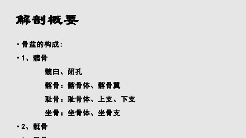 骨盆骨折手术配合及相关知识PPT课件