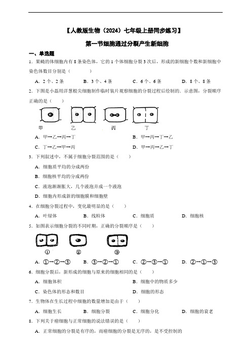 【人教版生物(2024)七年级上册测试卷】 1.3.1细胞通过分裂产生新细胞(含答案)