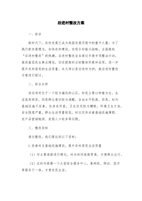 后进村整改方案