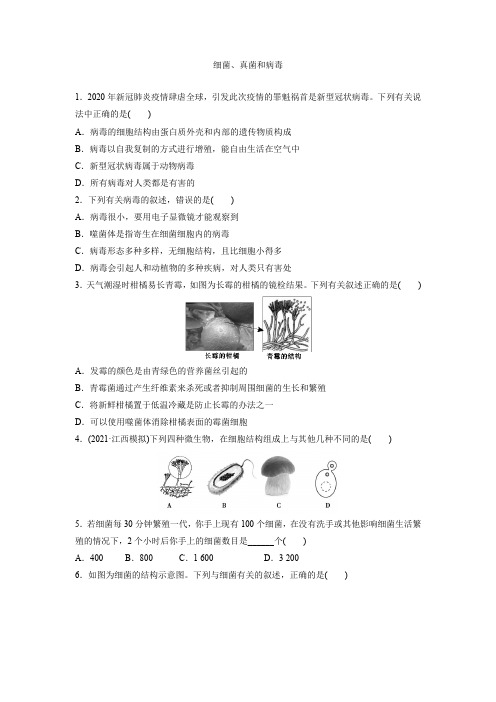 中考生物总复习强化训练细菌、真菌和病毒